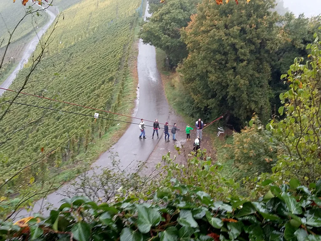Blick über den Weinberg auf die wartende Gruppe unten.
